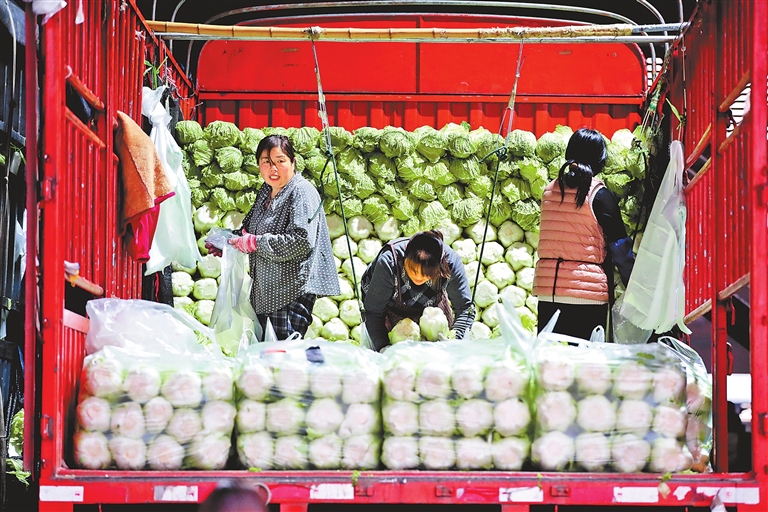 菜價走高 多措并舉穩住百姓“菜籃子”